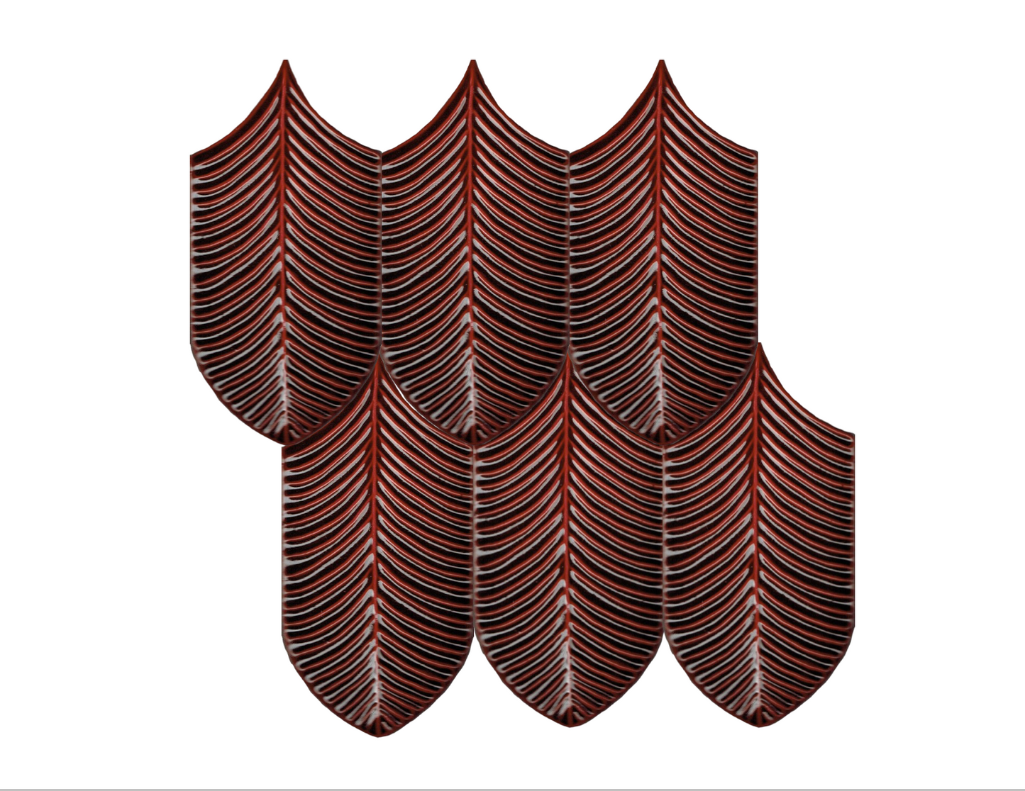 Calathea Plume Bordeaux