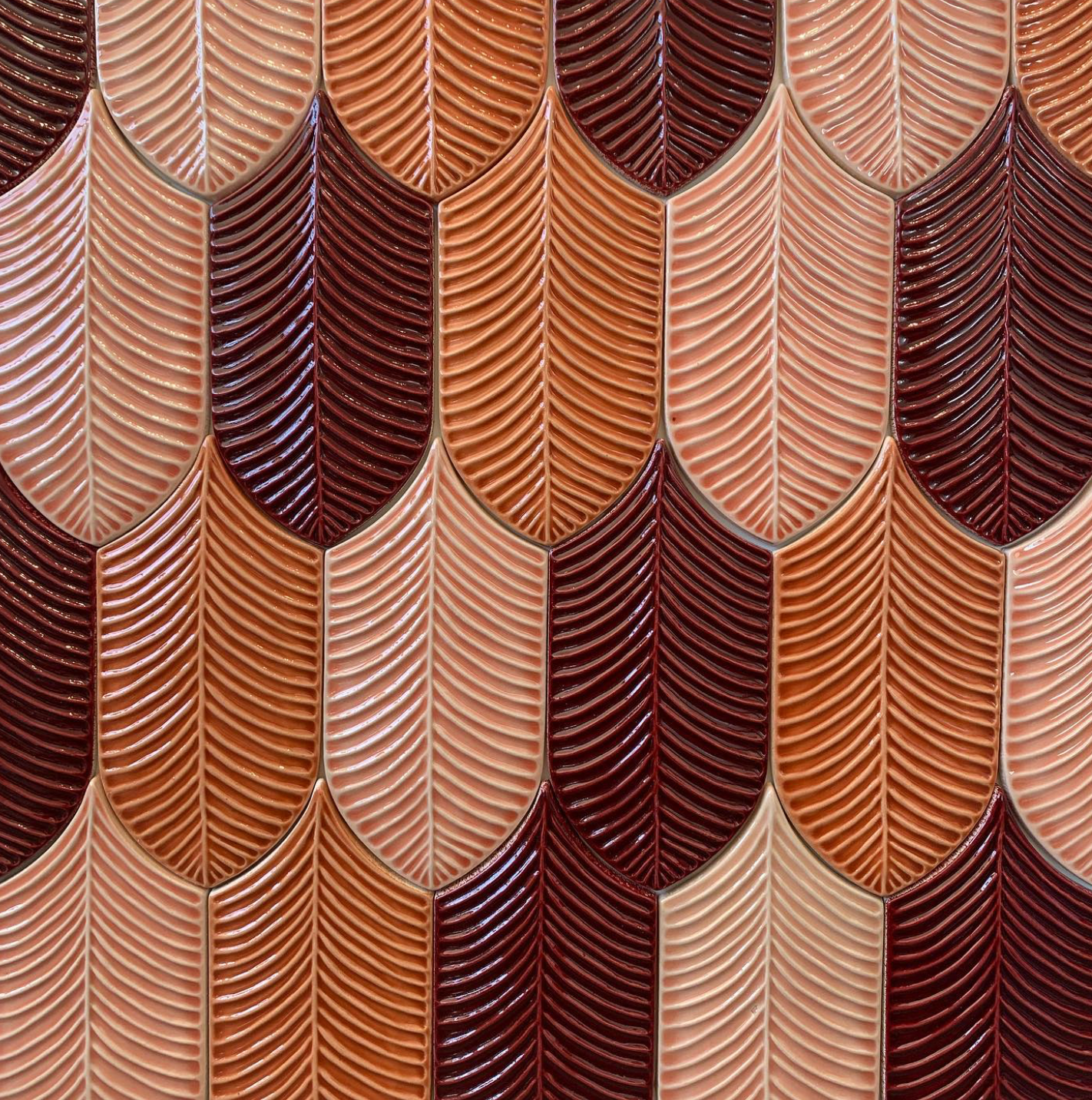 Calathea Plume Bordeaux